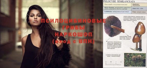 MESCALINE Заволжье