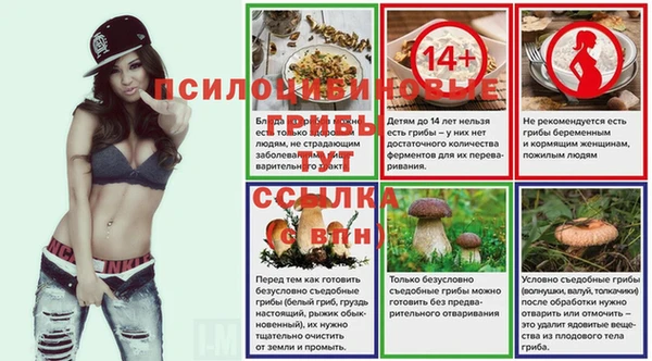 СК Заводоуковск