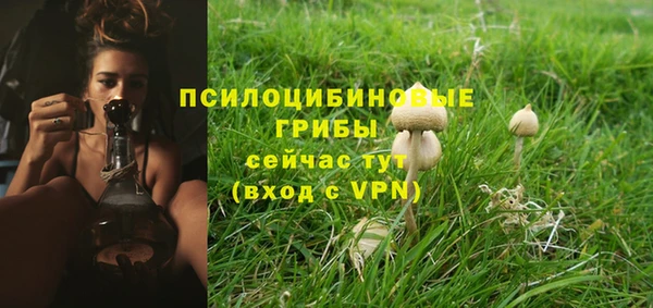 СК Заводоуковск
