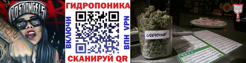 Бошки Шишки семена  Купить  Заполярный 